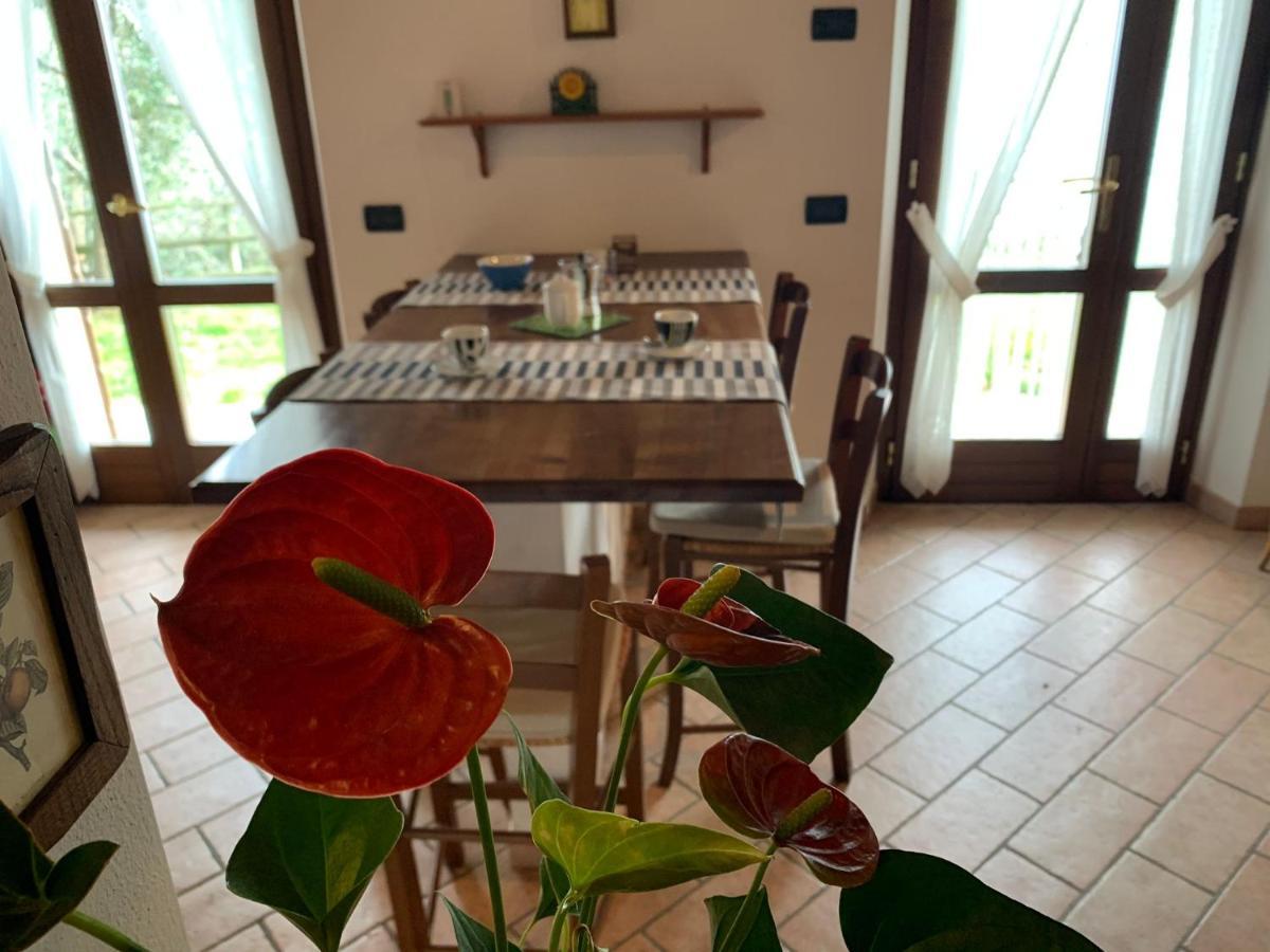 Villa Panorama Gargnano Εξωτερικό φωτογραφία